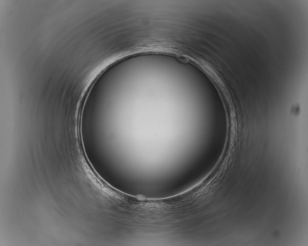 X0000115651246200911101532