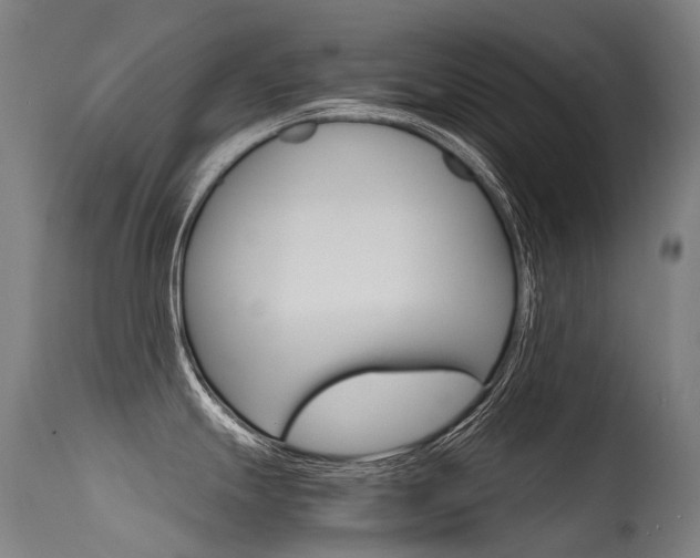 X0000115651247200911101532