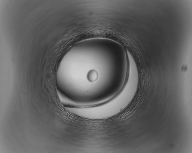 X0000115651249200911101531