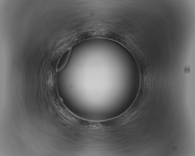X0000115651250200911101531