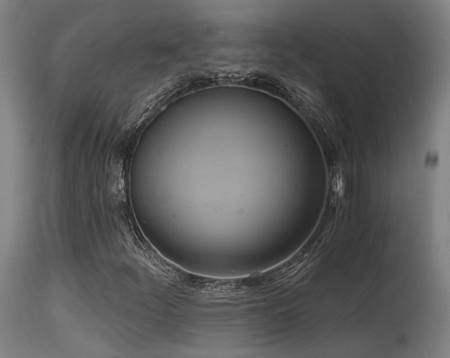 X0000115651252200911101531