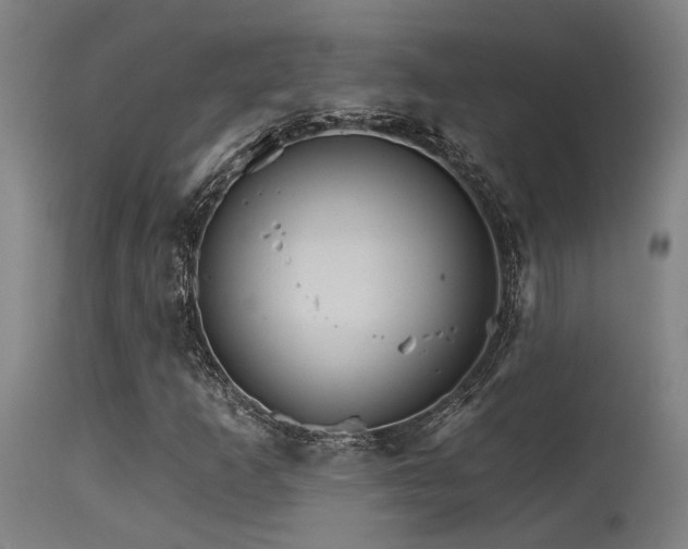 X0000115651253200911101531