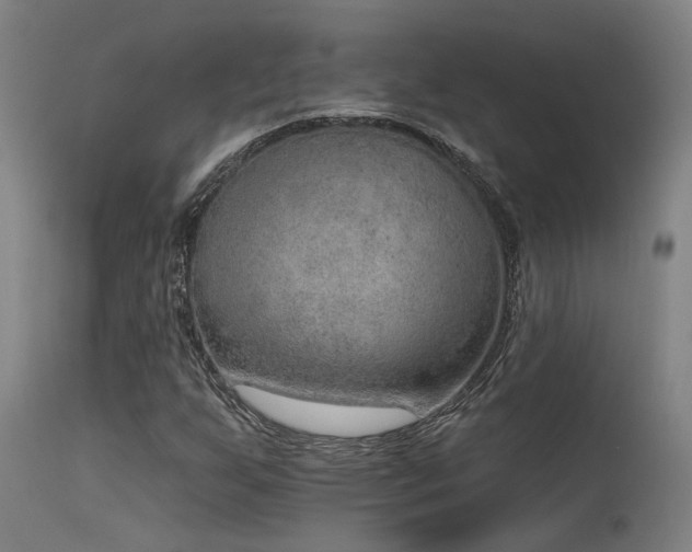 X0000115651255200911101531