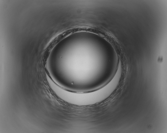 X0000115651256200911101531