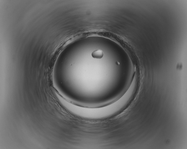 X0000115651257200911101531