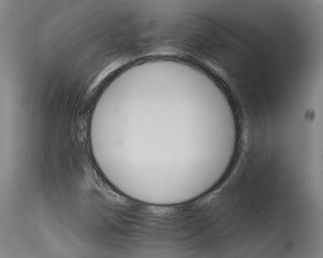 X0000115651258200911101531