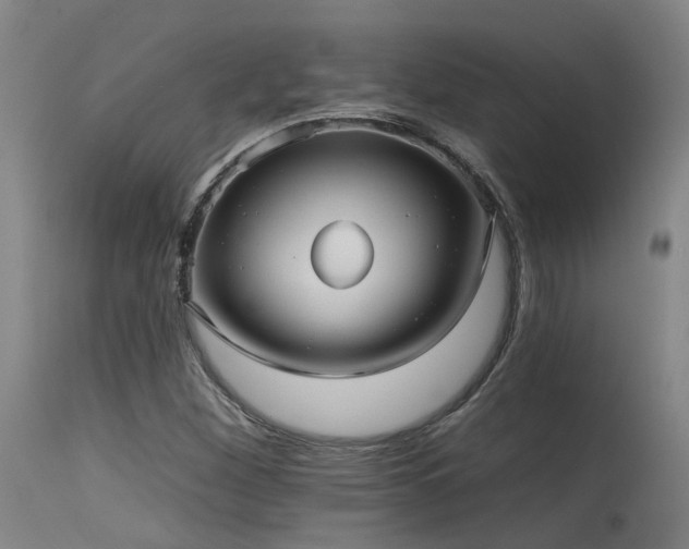 X0000115651260200911101531