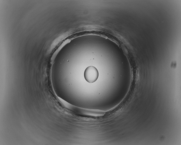 X0000115651261200911101531