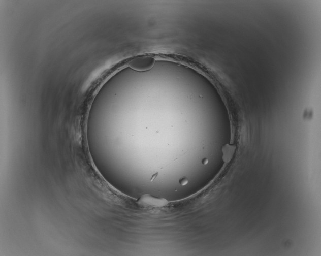 X0000115651262200911101531