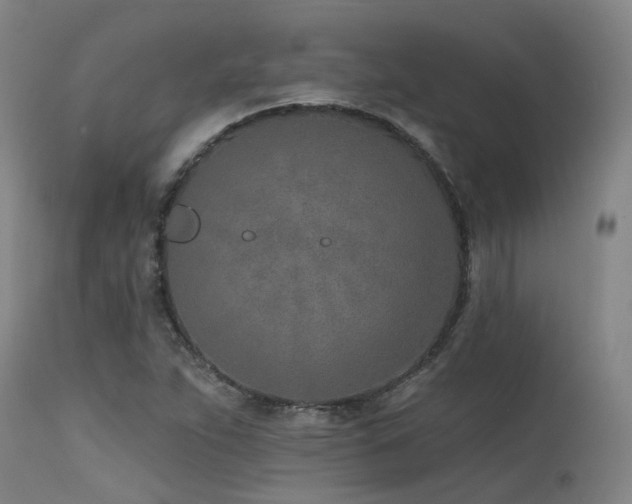 X0000115651263200911101531