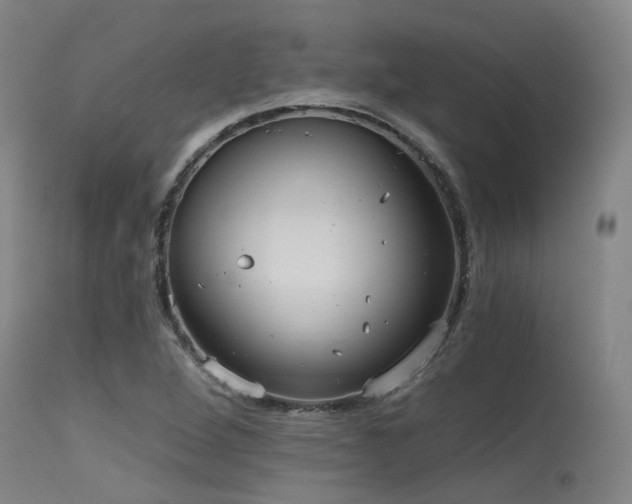 X0000115651264200911101531
