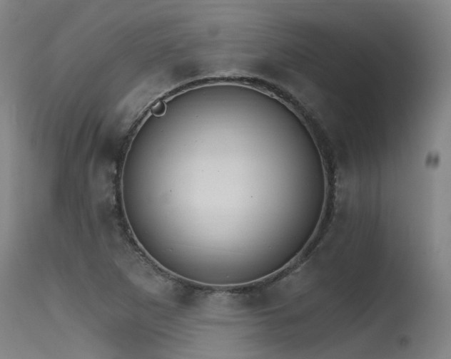 X0000115651265200911101531