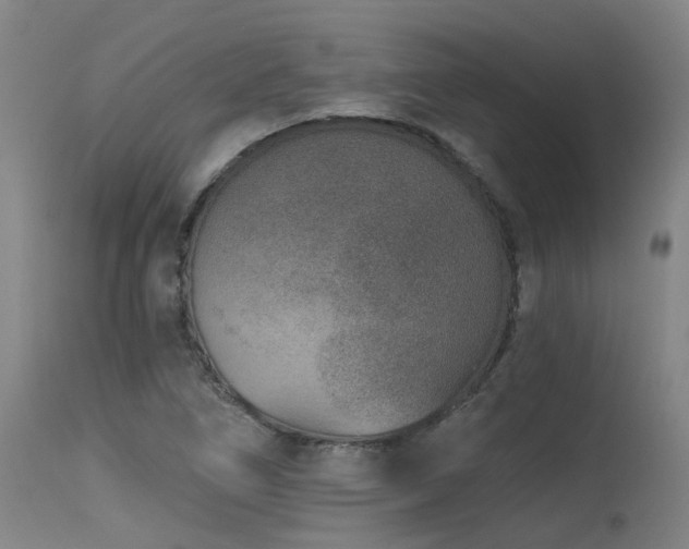 X0000115651266200911101531