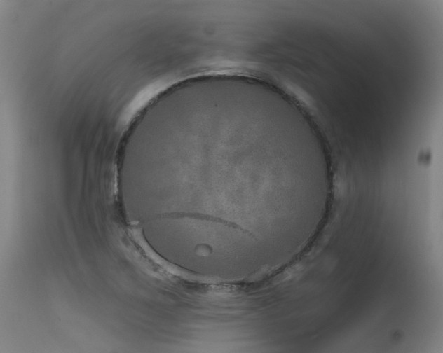 X0000115651267200911101531