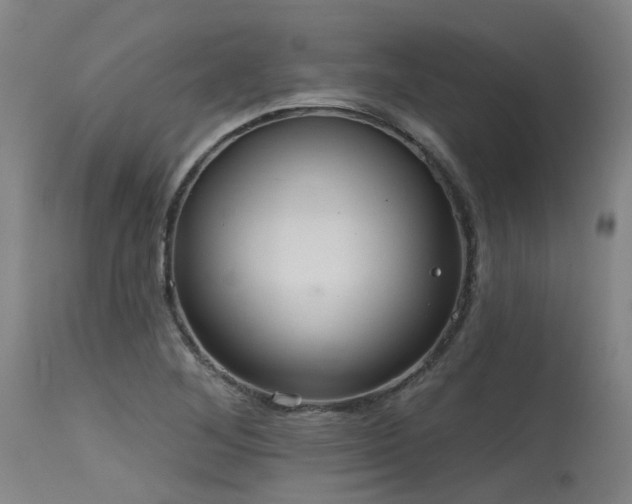 X0000115651268200911101531