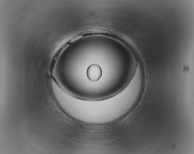X0000115651269200911101531