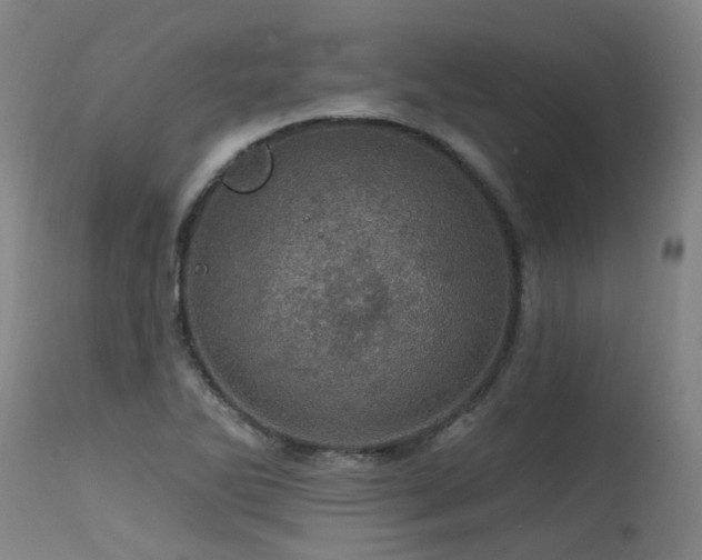 X0000115651270200911101531
