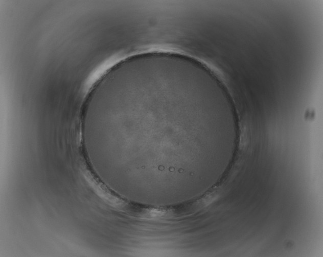 X0000115651271200911101531