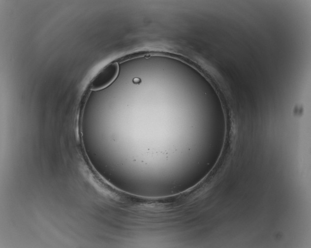 X0000115651272200911101531