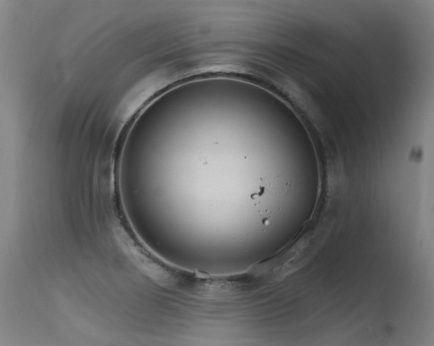 X0000115651274200911101531