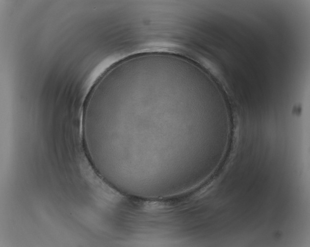 X0000115651275200911101531