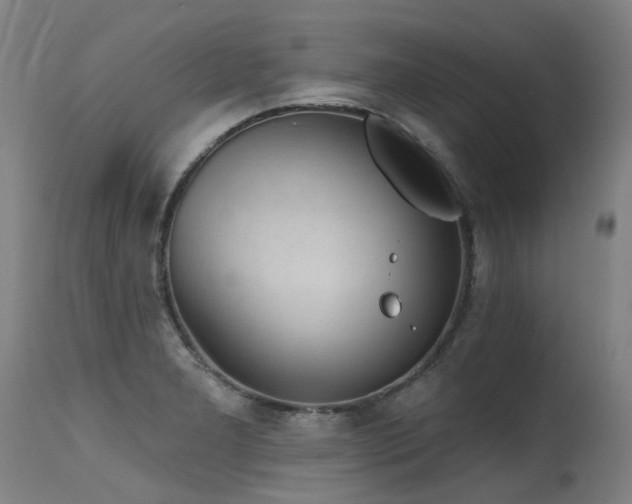 X0000115651277200911101531