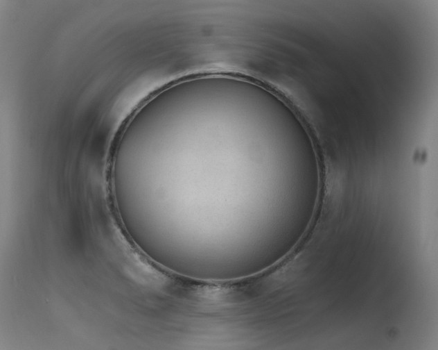 X0000115651278200911101531
