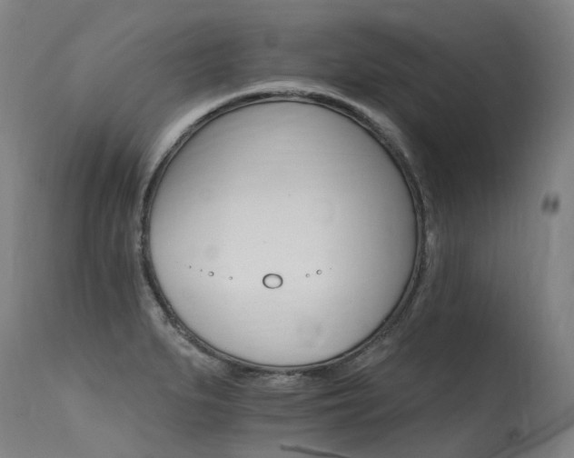 X0000115651279200911101531
