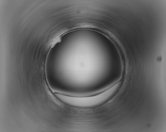 X0000115651281200911101531