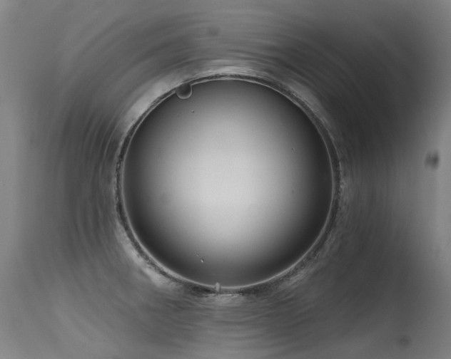 X0000115651282200911101531