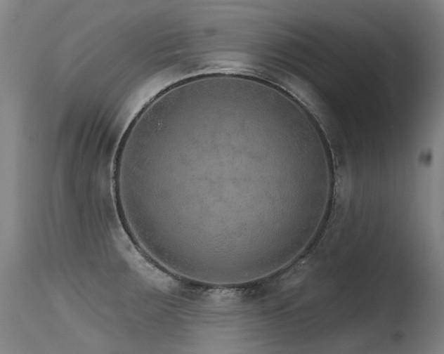 X0000115651283200911101531