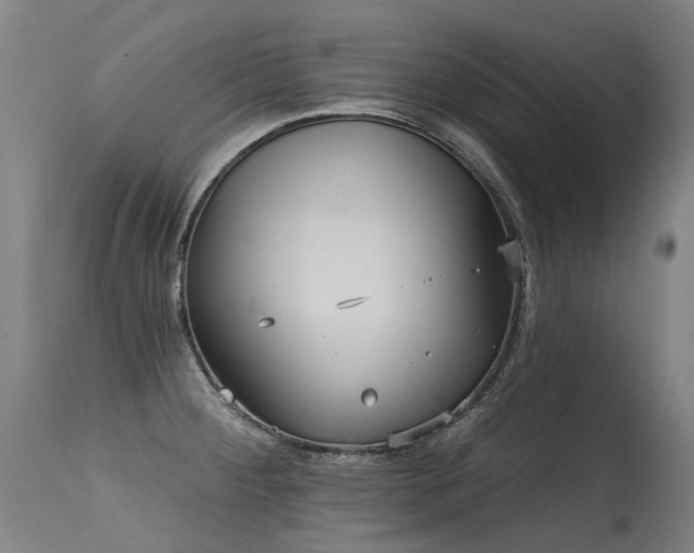 X0000115651284200911101531
