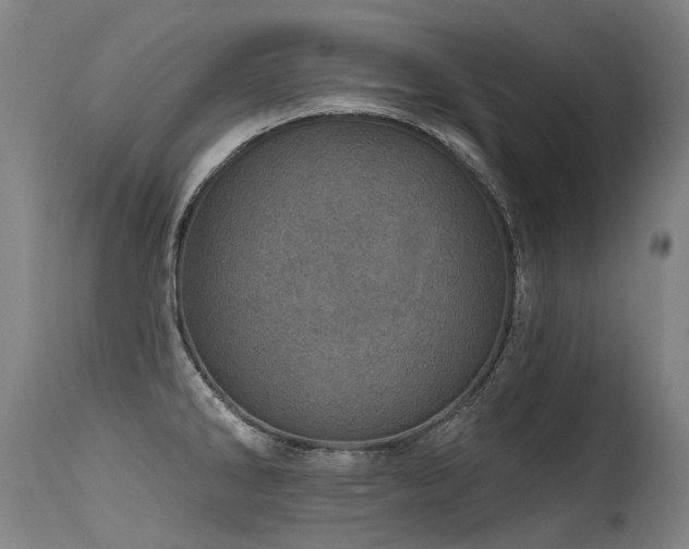 X0000115651286200911101531