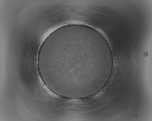 X0000115651287200911101531