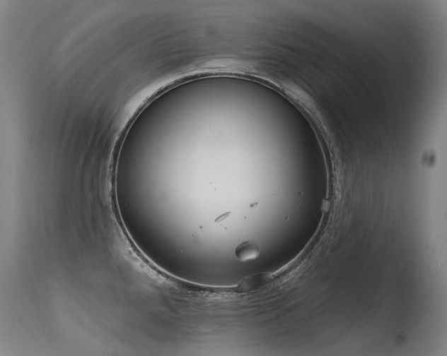 X0000115651288200911101531