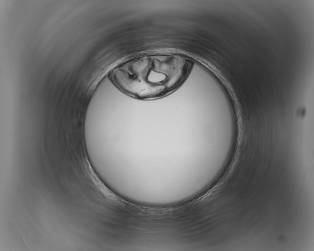 X0000115651289200911101531