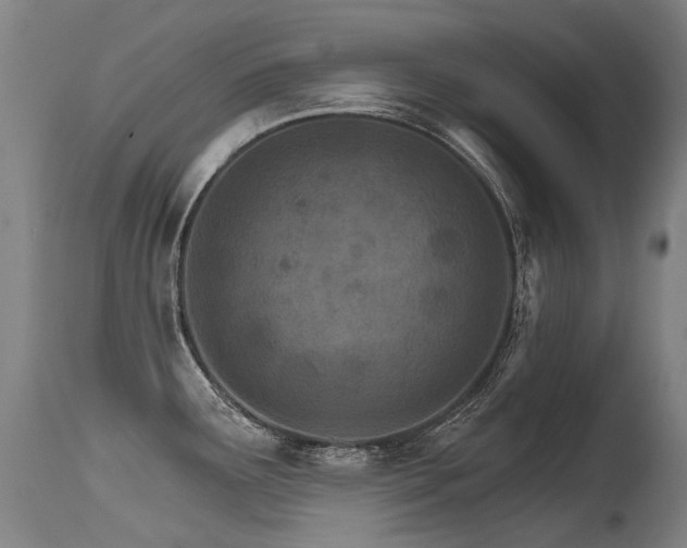 X0000115651291200911101531