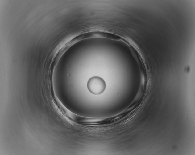 X0000115651293200911101531