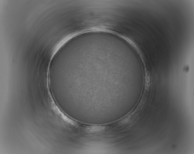 X0000115651294200911101531