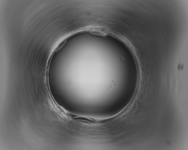 X0000115651296200911101531