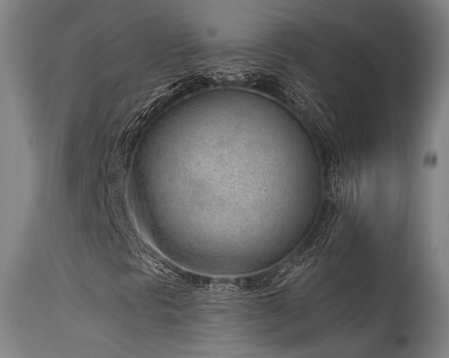 X0000115651297200911101530