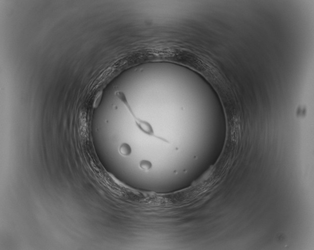X0000115651298200911101530