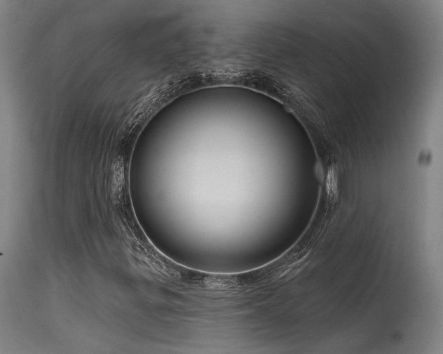 X0000115651299200911101530