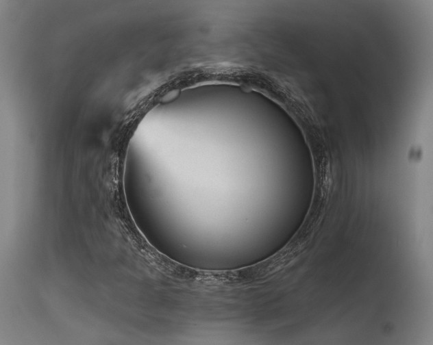 X0000115651301200911101530