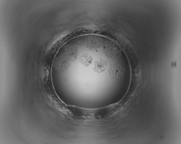 X0000115651302200911101530
