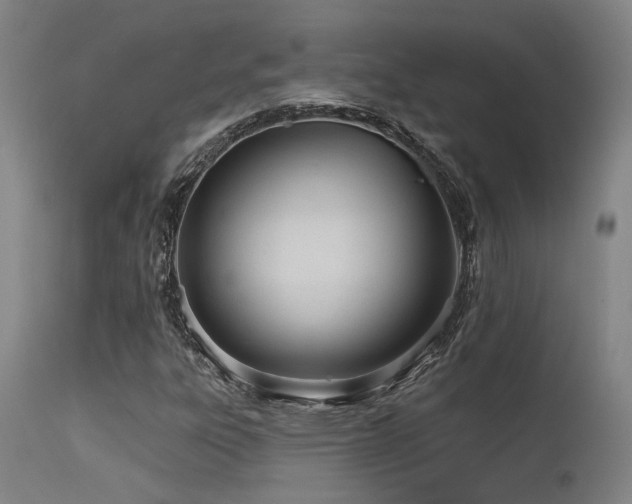 X0000115651303200911101530