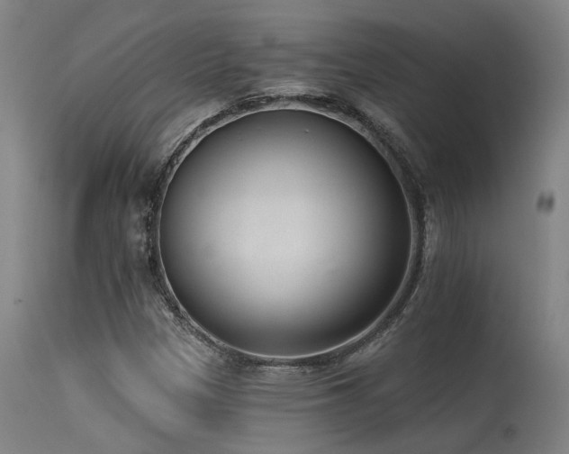 X0000115651305200911101530