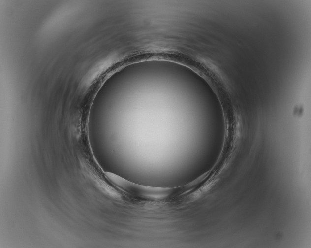 X0000115651306200911101530