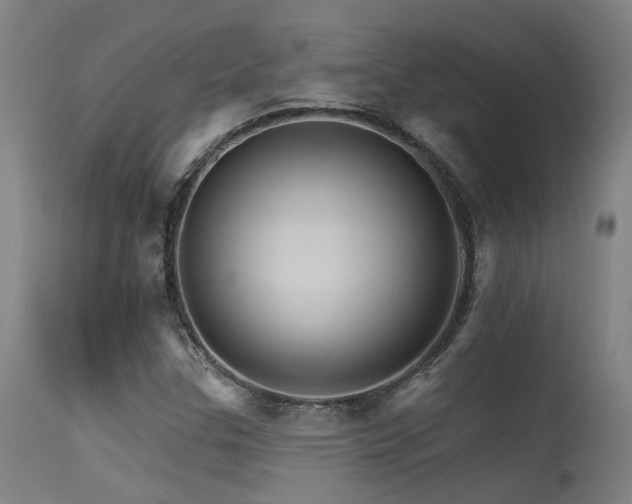 X0000115651307200911101530