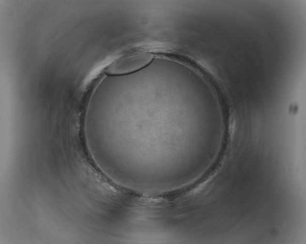 X0000115651309200911101530